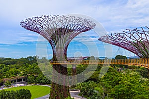 Park Gardens by the Bay - Singapore