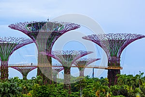 Park Gardens by the Bay - Singapore