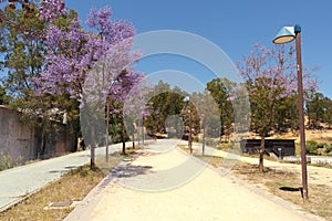 Park of Huelva