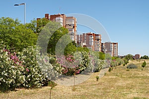 Park of Huelva photo