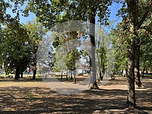 The park of the Hunting Castle in Bilje or the Park next to the castle of Eugene of Savoy, Bilje - Slavonia, Croatia