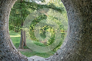 Park at the Ilm in Weimar