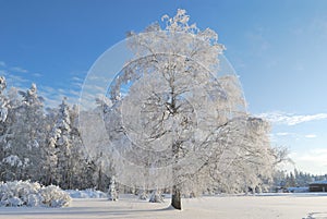 Park in Imatra in winter