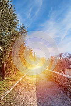 Park inside the castle on the hill Cidneo in Brescia, Italy photo