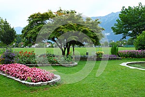 Park in Interlaken photo