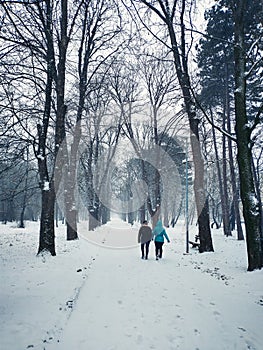 Park Janka Krále