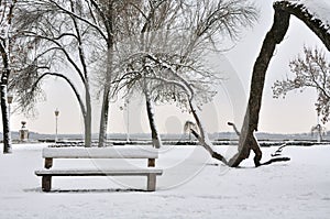 Park in the January