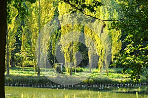 The park Jean-Jacques Rousseau in Ermenonville photo