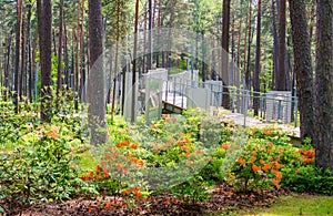 Park in Jurmala