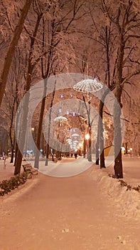 At park in Kharkiv with decorations - January 2017 Ukraine
