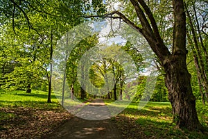 Park of Konopiste castle at springtime, Benesov, Czech republic