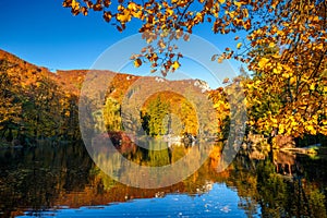 Park with a lake in autumn colors.