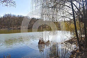 Park lake with beautiful reflections at spring time