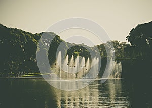 Centennial Park on a sunny day with trees and birds flying