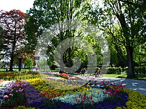 Park by Lake Bodensee in the city of Konstanz