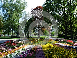 Park by Lake Bodensee in the city of Konstanz