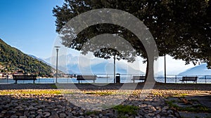 Park at Lake Como