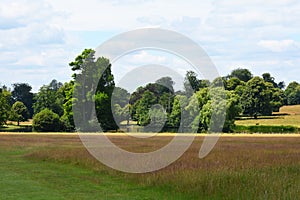 Park & Lake - Petworth House, West Sussex, England