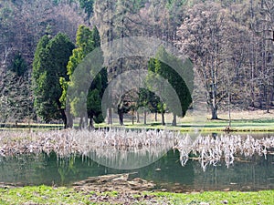 Park and lake in Turcianska Stiavnicka