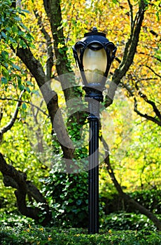 Park Lamppost photo