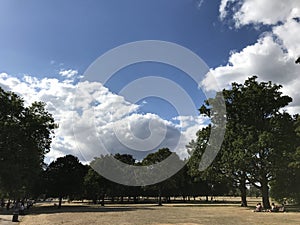 Park Landscape with Big Trees and Blue Skies with Clouds