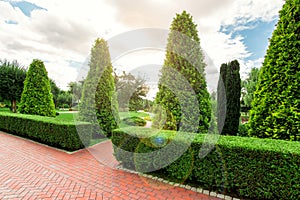 Park landscape design with footpaths and hedge. photo