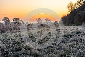 A park landscape in late autumn at sunrise