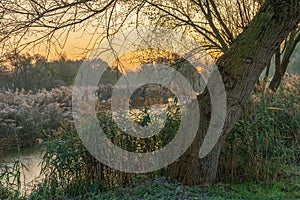 A park landscape in late autumn at sunrise