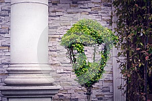 A park lantern with a green boxwood on the background of a column