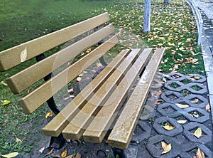 Park leisure bench