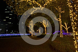 Park Light LED Rose Garden luminous