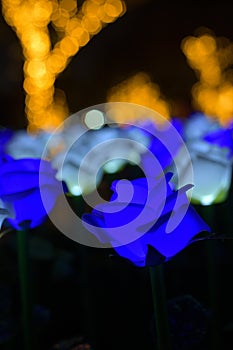 Park Light LED Rose Garden luminous