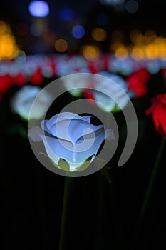 Park Light LED Rose Garden luminous