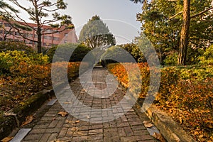 Park like setting with a brick walkway