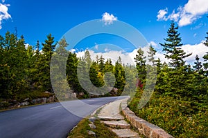 The Park Loop Road in Acadia National Park, Maine. photo