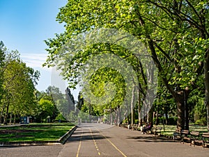 Park with lots of greenery in Burgas, Bulgaria