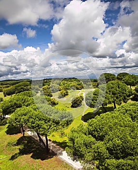 Park of Madrid and flying clouds
