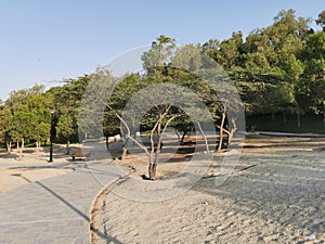 A park in Marfa area, Abudhabi, UAE.