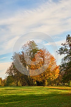 Park in Marienbad