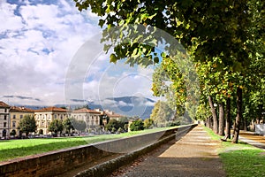 Park on medieval city wall in Lucca, Tuscany, Italy