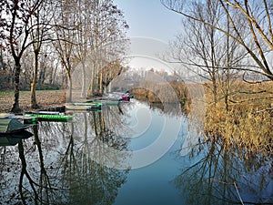 Park of mincio Rivalta sul Mincio Mantua Lombardy Italy