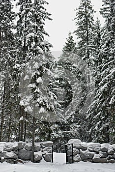 Park Mon Repos in a snowy forest in Vyborg in winter