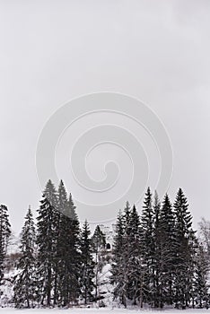 Park Mon Repos in a snowy forest in Vyborg in winter