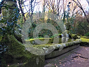 Park of the Monsters, Sacred Grove, Garden of Bomarzo. A now-dry pool in the shape of a boat, with dolphin fountain heads at both