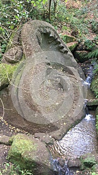 Park of the Monsters, Sacred Grove, Garden of Bomarzo. Whale and water