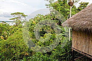 Eco Loge, National Park Yasuni photo