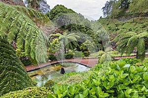 Park Natural dos Caldeiroes in the north of Sao Miguel Island over the Atlantic, Azores photo