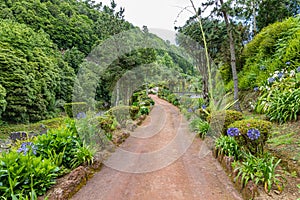 Park Natural dos Caldeiroes in the north of Sao Miguel Island over the Atlantic, Azores photo