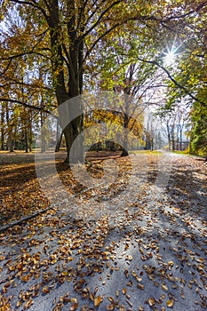 Park near Betliar castle, Slovakia