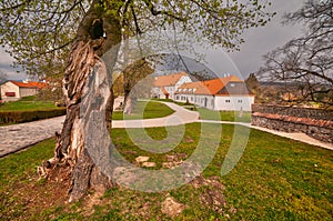 Park near castle Cerveny Kamen